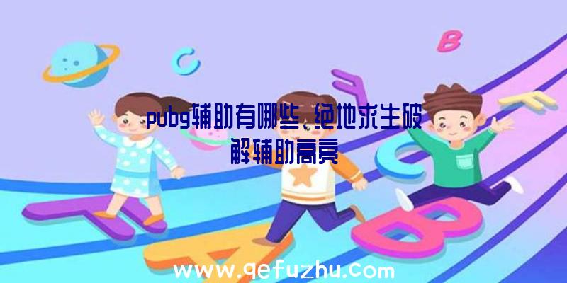 pubg辅助有哪些、绝地求生破解辅助高亮