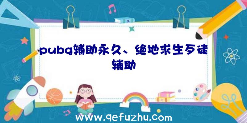 pubg辅助永久、绝地求生歹徒辅助