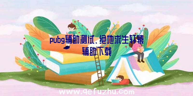 pubg辅助测试、绝地求生轩辕辅助下载