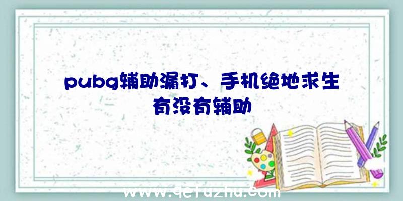 pubg辅助漏打、手机绝地求生有没有辅助