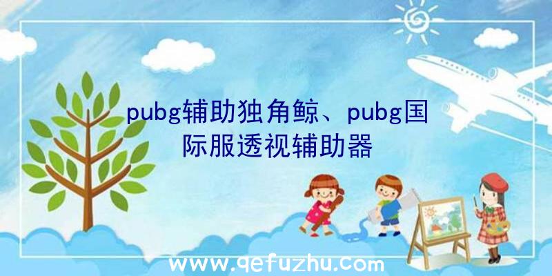 pubg辅助独角鲸、pubg国际服透视辅助器