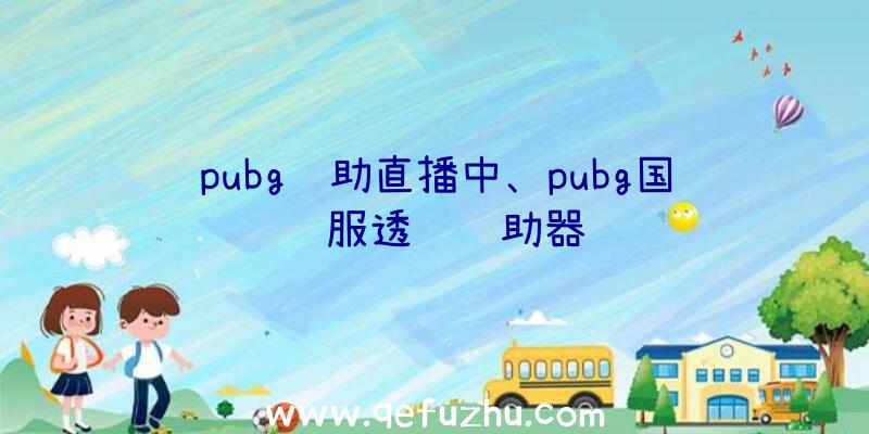 pubg辅助直播中、pubg国际服透视辅助器