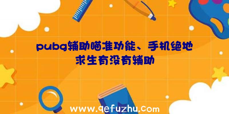 pubg辅助瞄准功能、手机绝地求生有没有辅助