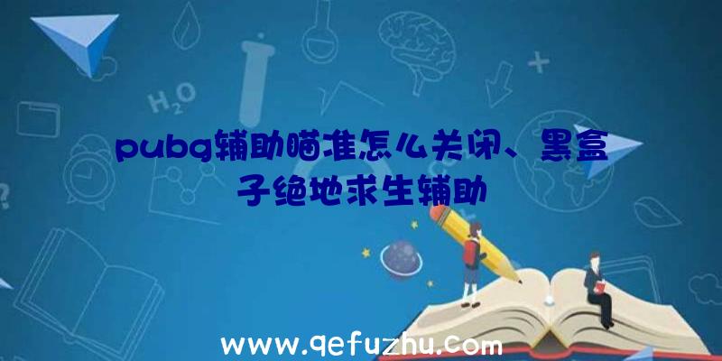 pubg辅助瞄准怎么关闭、黑盒子绝地求生辅助