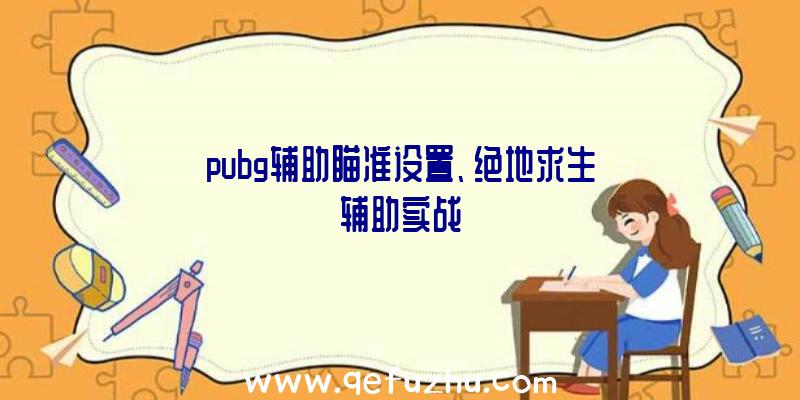 pubg辅助瞄准设置、绝地求生辅助实战