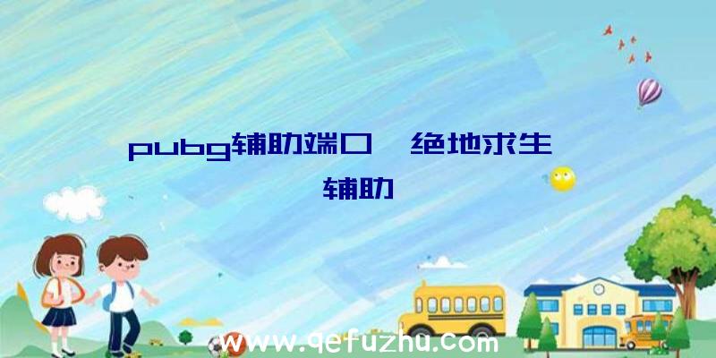 pubg辅助端口、绝地求生迪迦辅助