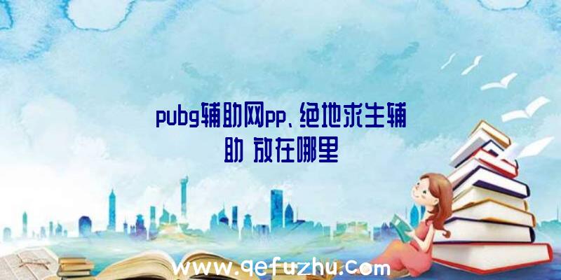 pubg辅助网pp、绝地求生辅助