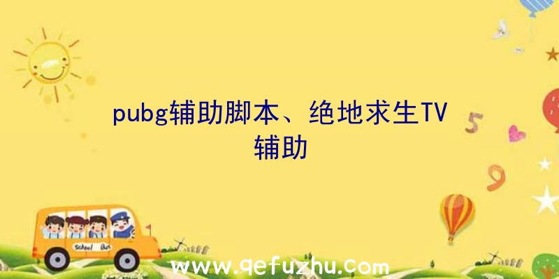 pubg辅助脚本、绝地求生TV辅助