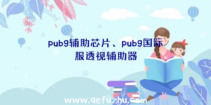 pubg辅助芯片、pubg国际服透视辅助器