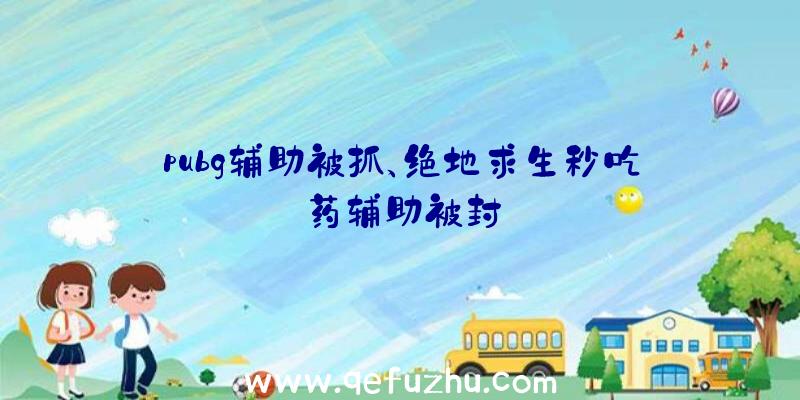 pubg辅助被抓、绝地求生秒吃药辅助被封