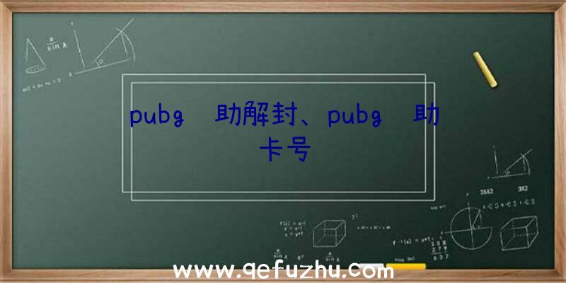 pubg辅助解封、pubg辅助卡号