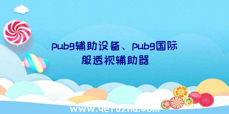 pubg辅助设备、pubg国际服透视辅助器