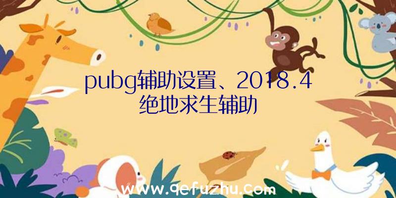 pubg辅助设置、2018.4绝地求生辅助