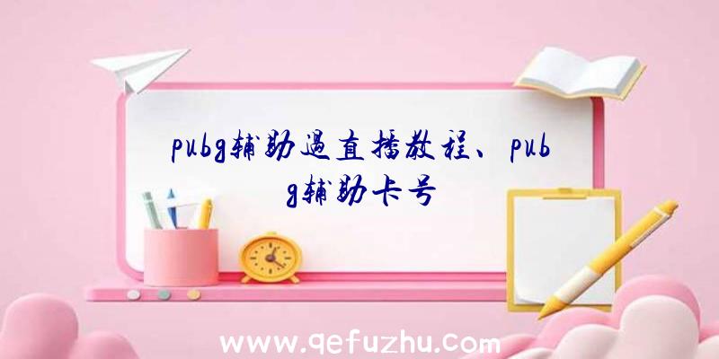 pubg辅助过直播教程、pubg辅助卡号