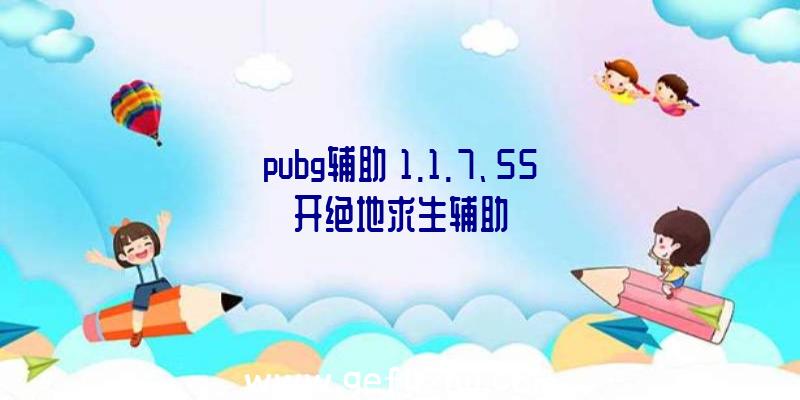 pubg辅助