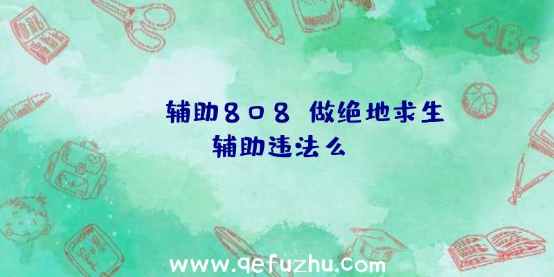 pubg辅助808、做绝地求生辅助违法么