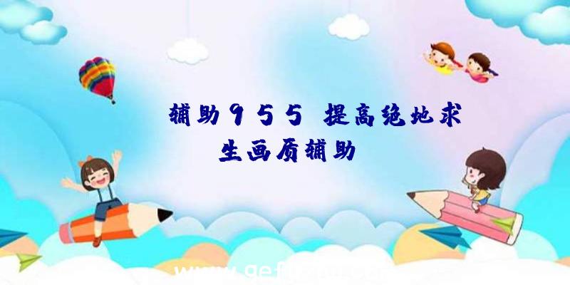 pubg辅助955、提高绝地求生画质辅助