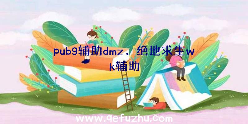 pubg辅助dmz、绝地求生wk辅助