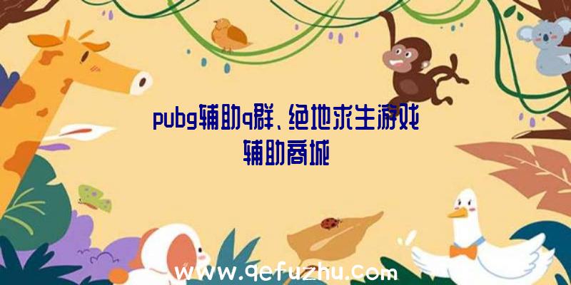 pubg辅助q群、绝地求生游戏辅助商城