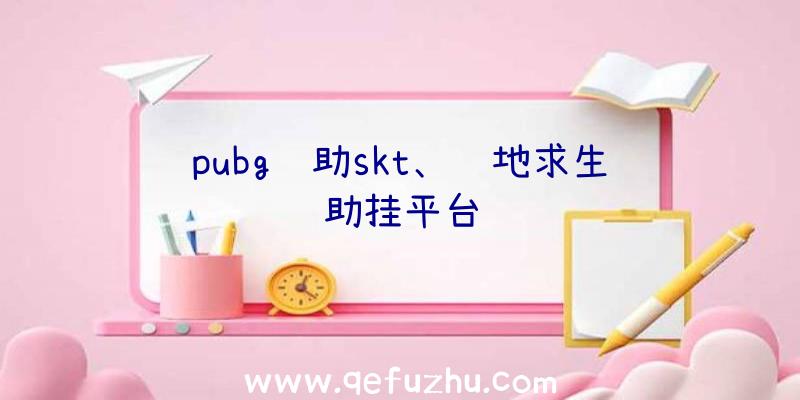 pubg辅助skt、绝地求生辅助挂平台