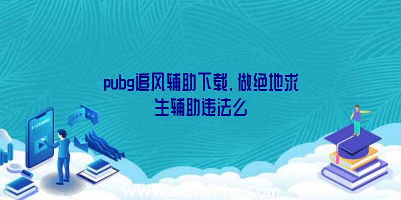 pubg追风辅助下载、做绝地求生辅助违法么