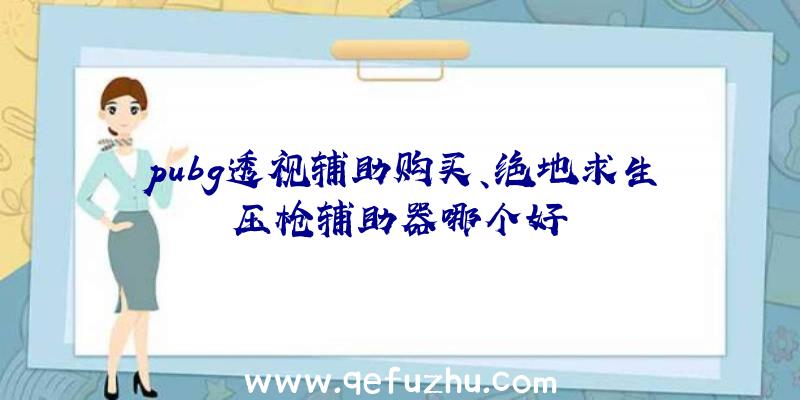 pubg透视辅助购买、绝地求生压枪辅助器哪个好