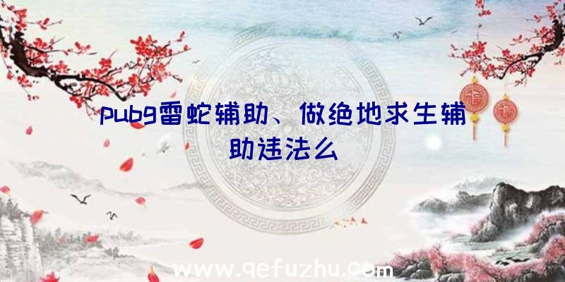 pubg雷蛇辅助、做绝地求生辅助违法么