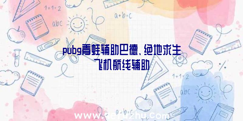 pubg青蛙辅助巴德、绝地求生飞机航线辅助