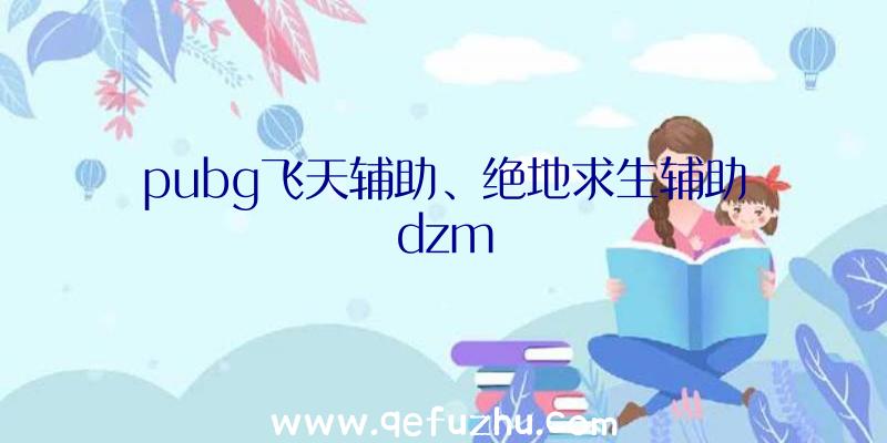 pubg飞天辅助、绝地求生辅助dzm