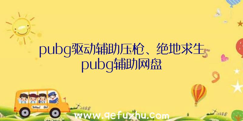 pubg驱动辅助压枪、绝地求生pubg辅助网盘