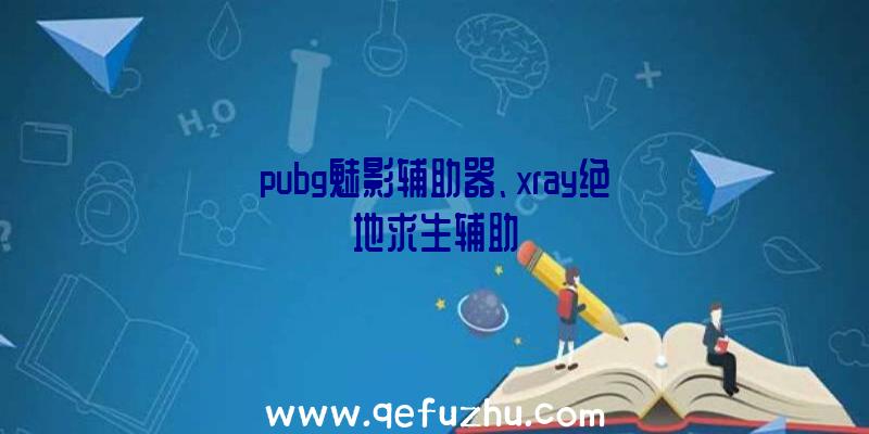 pubg魅影辅助器、xray绝地求生辅助