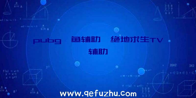 pubg鲨鱼辅助、绝地求生TV辅助