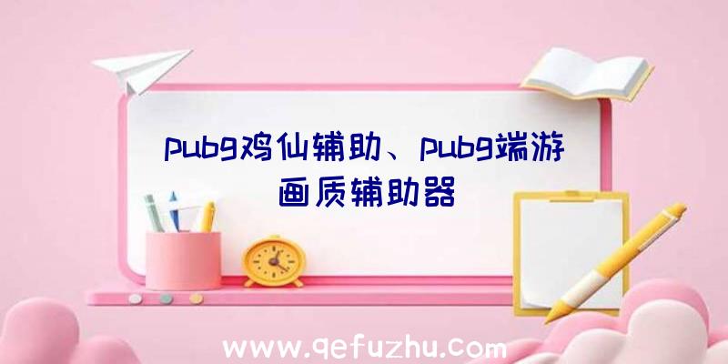 pubg鸡仙辅助、pubg端游画质辅助器