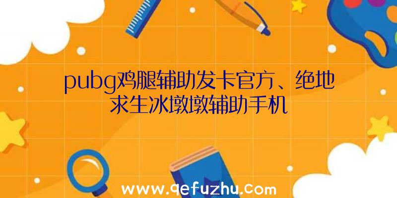 pubg鸡腿辅助发卡官方、绝地求生冰墩墩辅助手机