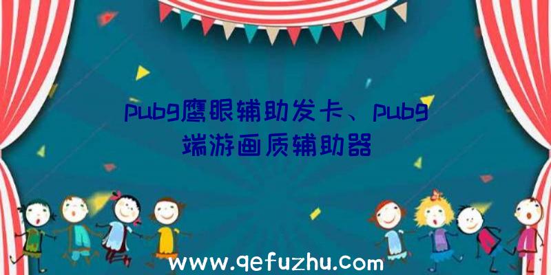 pubg鹰眼辅助发卡、pubg端游画质辅助器