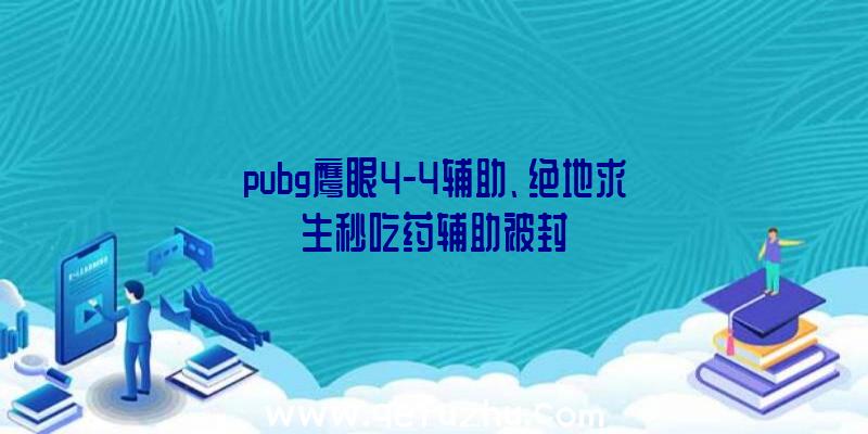 pubg鹰眼4-4辅助、绝地求生秒吃药辅助被封