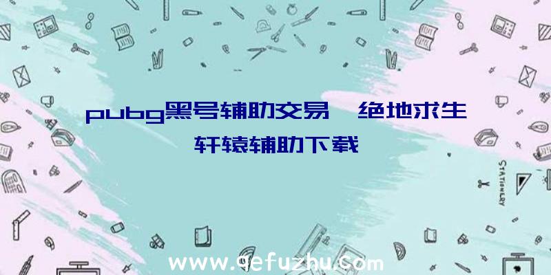 pubg黑号辅助交易、绝地求生轩辕辅助下载