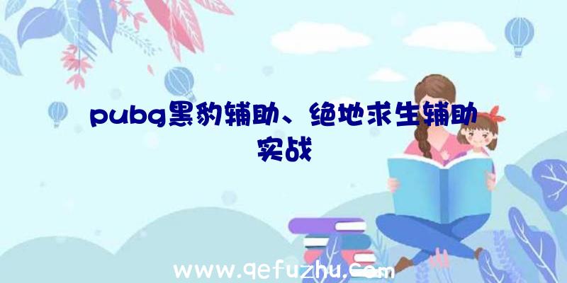 pubg黑豹辅助、绝地求生辅助实战