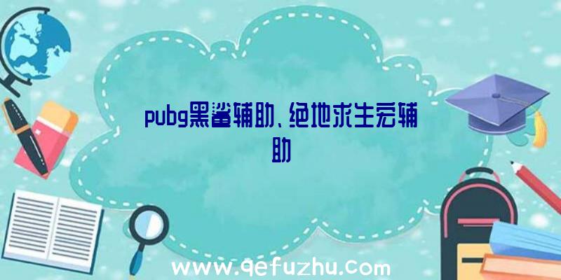 pubg黑鲨辅助、绝地求生宏辅助