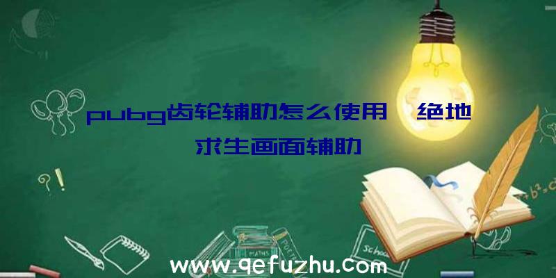 pubg齿轮辅助怎么使用、绝地求生画面辅助