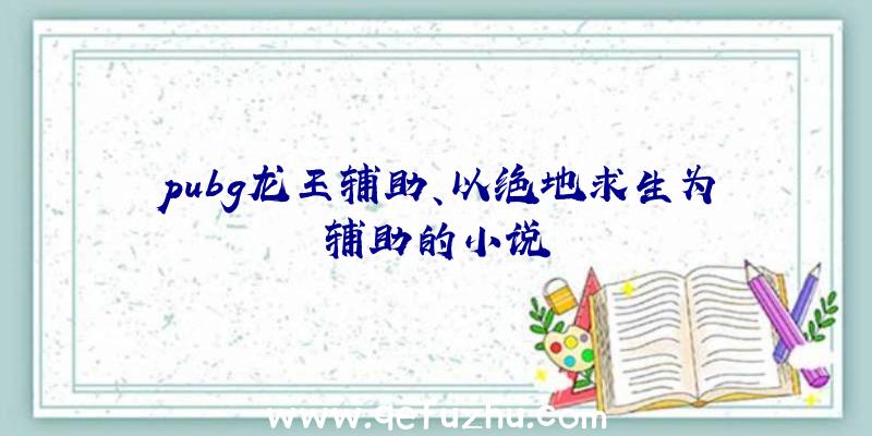 pubg龙王辅助、以绝地求生为辅助的小说