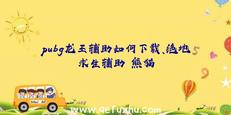 pubg龙王辅助如何下载、绝地求生辅助