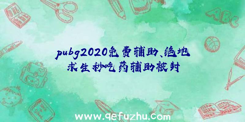 pubg2020免费辅助、绝地求生秒吃药辅助被封