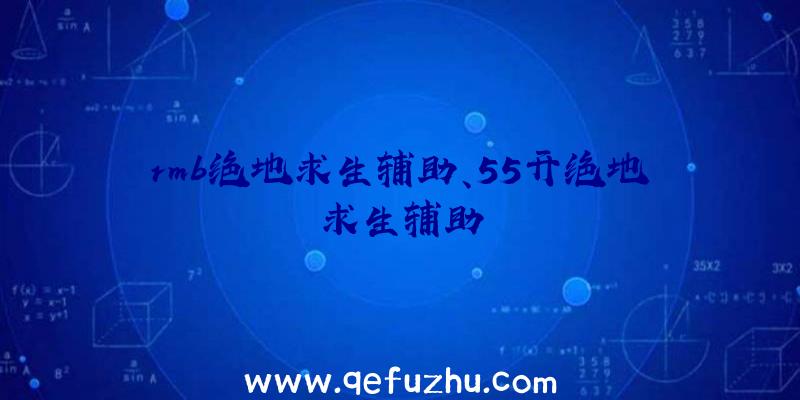 rmb绝地求生辅助、55开绝地求生辅助