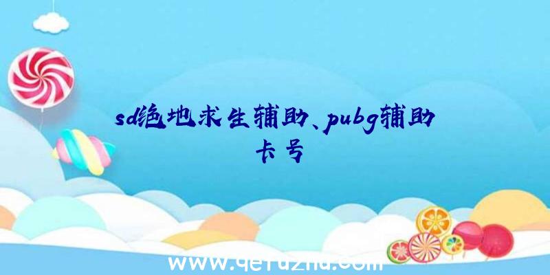 sd绝地求生辅助、pubg辅助卡号