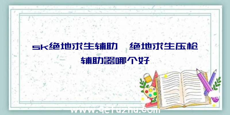 sk绝地求生辅助、绝地求生压枪辅助器哪个好