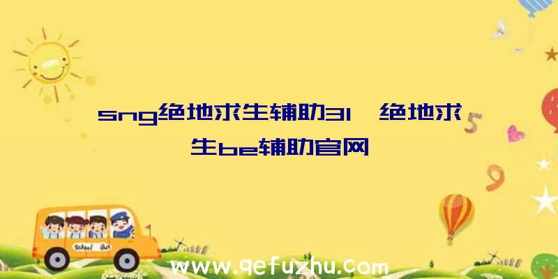 sng绝地求生辅助31、绝地求生be辅助官网