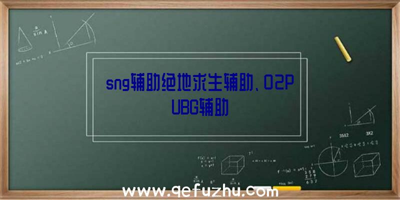 sng辅助绝地求生辅助、02PUBG辅助