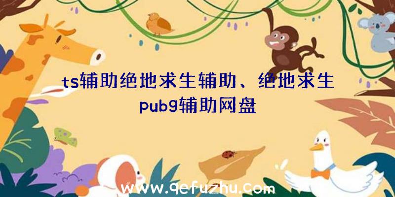 ts辅助绝地求生辅助、绝地求生pubg辅助网盘