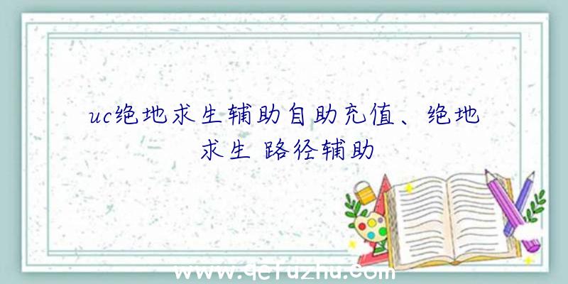 uc绝地求生辅助自助充值、绝地求生